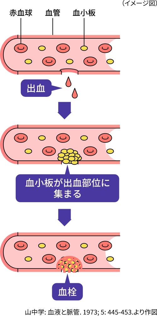 血小板の主な役割